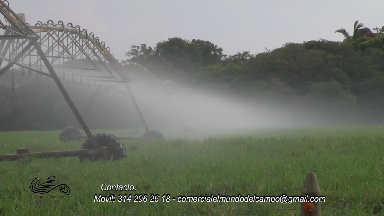 AGROPECUARIA COROZITO CAP 2   MANI CASANARE