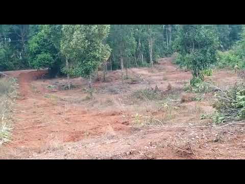 Residential Land/Plot for sale in Manjarpalke, Bola, Belman