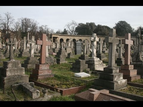 YOUNG RECKLESS  WHY THEY TAKE MY NIGKA