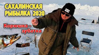 Сахривер отчеты о рыбалке апрель 2020 сахалин
