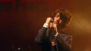 The Last Shadow Puppets - In The Heat Of The Morning [Live at Cirque Royal, Brussels - 19-10-2008]