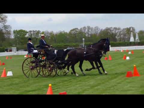 Fahrturnier Lähden 1.5.2022 (National)