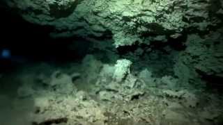 preview picture of video 'Los Cenotes de Playa del Carmen, México.'