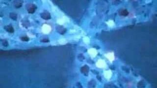 Never Picked Cotton Johnny Cash Music Video