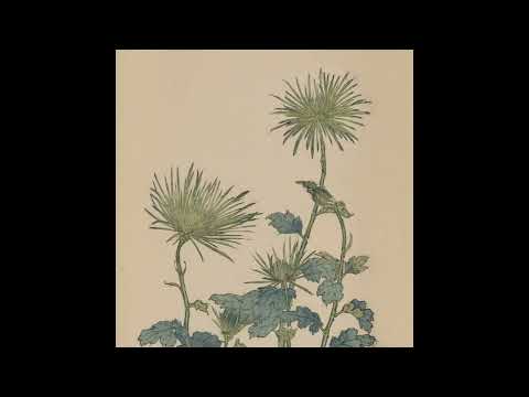 Indefinite Pitch PREMIERES. Cortion - k2m [Muzan Editions]