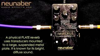 Video thumbnail for Neunaber Immerse Reverberator by Mike Hermans