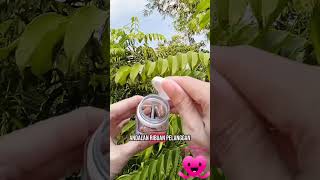 Download lagu Kapsul Herbal Buah Pinang mp3 Download lagu Kapsul Herbal Buah Pinang mp3