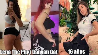 Danyan Cat Hot