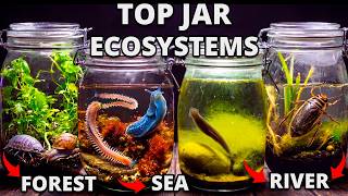 I Put Rivers, Seas and Forests in Jars, Months Later THIS Appeared!