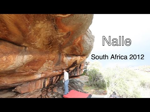 Nalle in South Africa