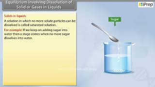 Equilibrium Involving Dissolution of Solid or Gases in Liquids | Equilibrium | Chemistry -Class 11th