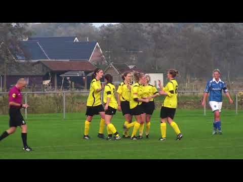 VIOD VR1 - Odysseus '91 VR1