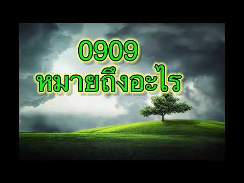 0909 angel number 0909 หมายถึงอะไร?