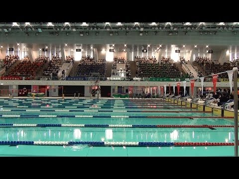 2013 Swimming Gala Cheering Grand Show
