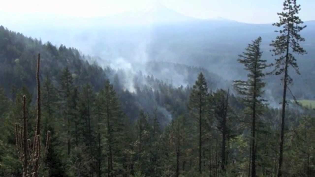 BLM Prescribed Burns
