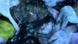 yuna's everything not