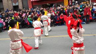 Chinese New Year 2014 - Wood Horse celebration
