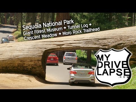 download lagu mp3 mp4 Crescent Meadow Sequoia, download lagu Crescent Meadow Sequoia gratis, unduh video klip Download Crescent Meadow Sequoia Mp3 dan Mp4 Popular Gratis