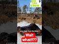 Comeback From The Dead Funny Funnyfacts Memes Youtubeshorts Funfacts Animation