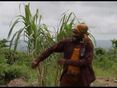Muscle Emanuel "Inna Dem Time Yah" (Sweet Stick Rythm)