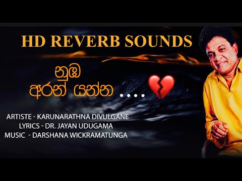 💔නුඹ අරන් යන්න lyrics  Numba Aran Yanna | Karunarathna Divulgane