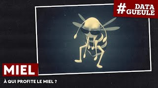 Who benefits from the honey? - #DATAGUEULE 20