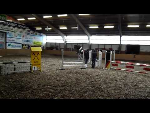 4j. oldenburger Stute von Belissimo M - Sandro Hit, E-Springen vom 9.2.2014