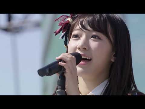 Kimi wa Melody - AKB48 Groups