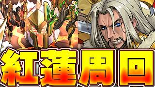 ゼーリエ使わないダイン編成できたよ！！ガチパで紅蓮周回もするよ【パズドラ実況】＃パズドラ