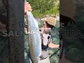 Salmon fishing in Northern Norway – WOW, it's beautiful!