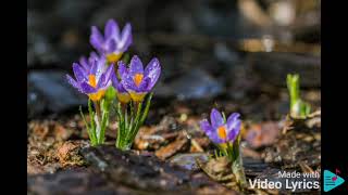 A Smile in Your Heart Jed Madela