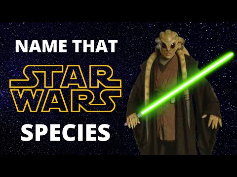 Name That STAR WARS Species - Quiz - Star Wars Meg