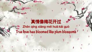 Download lagu 一剪梅 Yi Jian Mei [费玉清 Fei Yu-Ching/ Fei Yu Qing] - Chinese, Pinyin & English Translation mp3