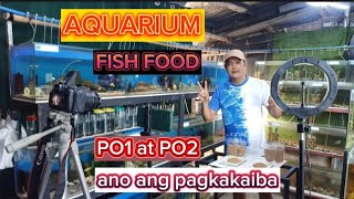 ANO NGA BA ANG PO1 AT PO2/ ANO ANG DAPAT IPAKAIN SA MGA ISDA SA AQUARIUM/HOW TO FEED AQUARIUM FISHES