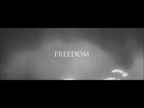 Modern Day Collapse - Freedom (Official Music Video)