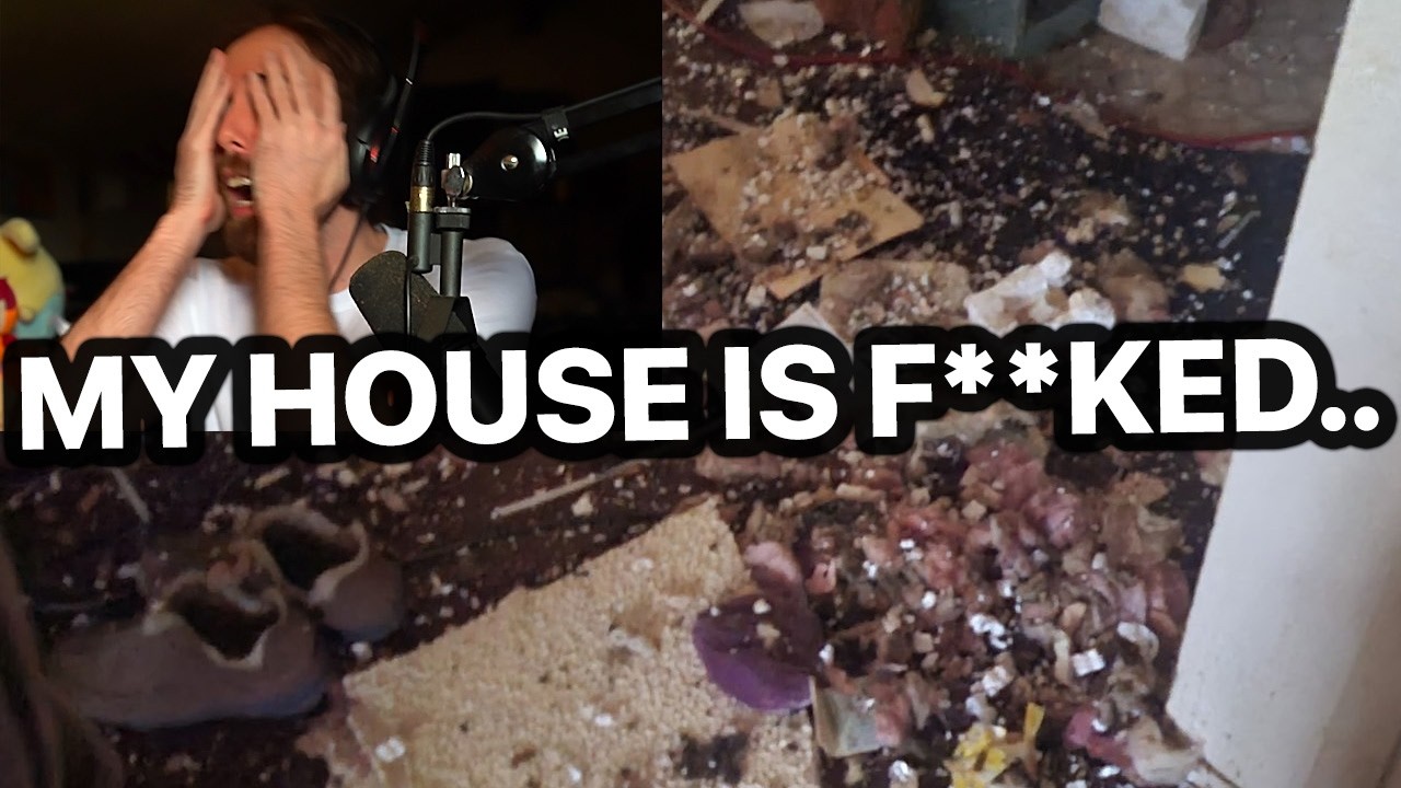 I'm losing my god damn mind..