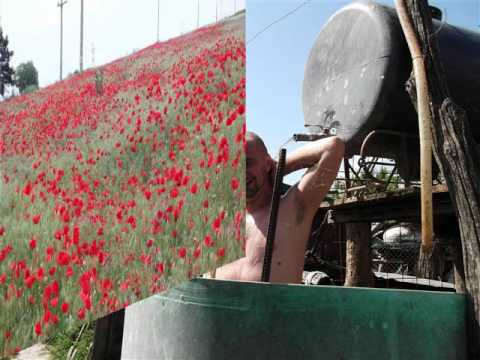 splendid giurgeni romania Insula mica a brailei.wmv