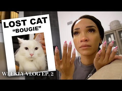 MY CAT RAN AWAY (but watch what happens next) | RAY'S WEEK [S2 E2]