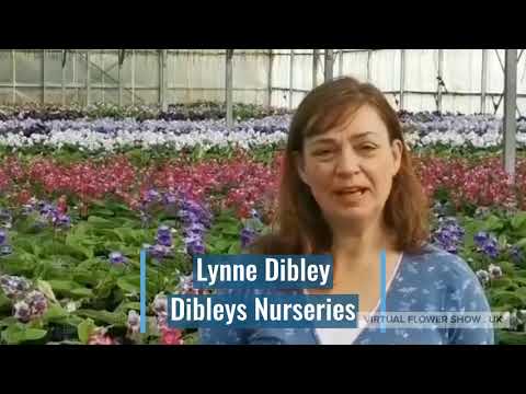 Our Favourite Plants -April 2020 part 1