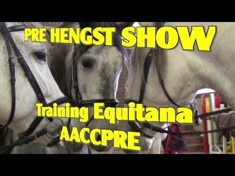 EQUITANA 2013 PRE HENGST TRAINING des AACCPRE