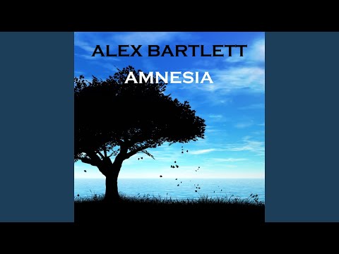 Amnesia (Flutlicht vs. S.H.O.K.K. Mix)