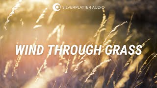 Wind Blowing Through Grass Sound Effect