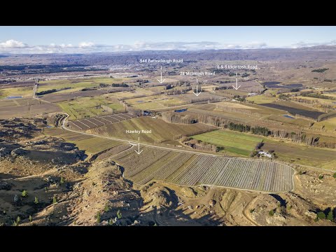 6 and 8 McIntosh Road, Alexandra, Central Otago, Otago, 0房, 0浴, 果园