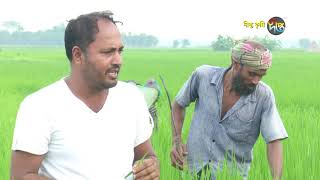 শৈলকূপা কৃষি ২