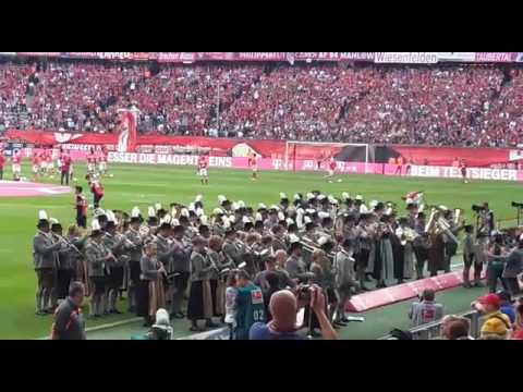 Unterdarchinger Musi Allianzarena