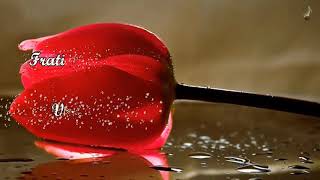 Download lagu Fratii Maftei - Vino Isuse, vino o Doamne, vino sa ne mangai mp3 Download lagu Fratii Maftei - Vino Isuse, vino o Doamne, vino sa ne mangai mp3