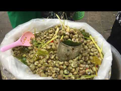 Amazing Village Food In Phnom Penh - Walk Around Market Food Compilation Video