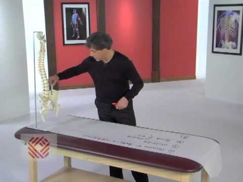 Low Back Pain Part 1: Anatomy of Muscle, Facet Joint, & Sacroiliac Joint Injuries