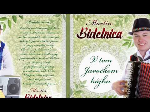 Martin BIDELNICA  - V tom Jarockom Hajku (audio ukážka z CD, 2018)