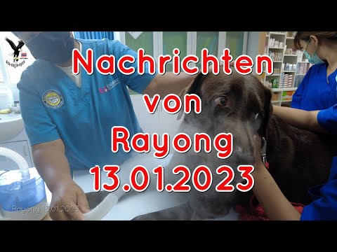 News 01/13/2023 The situation is not getting better